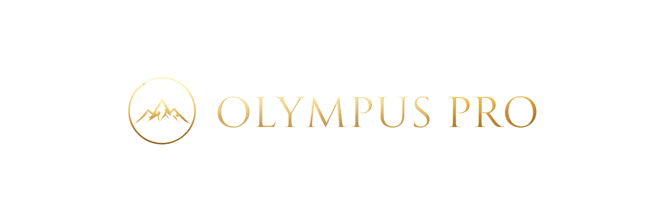 Olympus Pro
